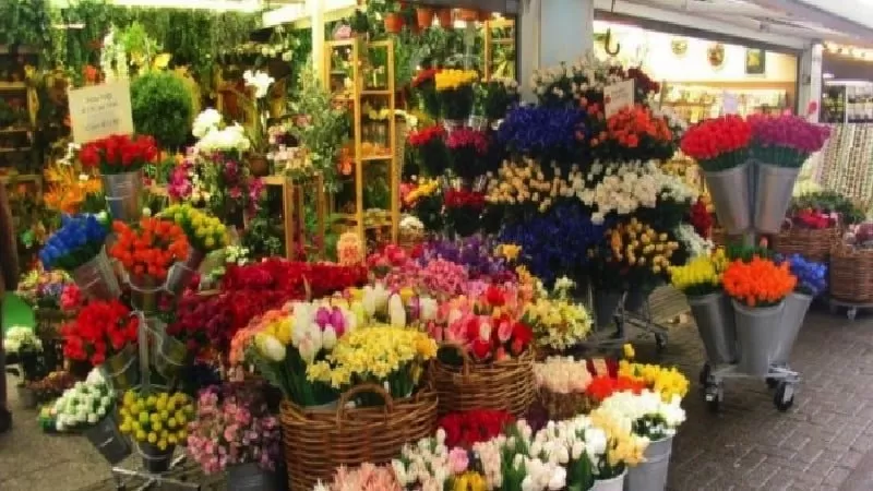 Floristería: Plan de negocios Floristería: Plan de negocios para montarla 3