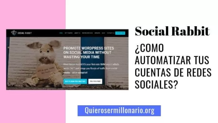 Social Rabbit ¿Como automatizar tus cuentas de redes sociales? 2 Social Rabbit ¿Como automatizar tus cuentas de redes sociales? 2