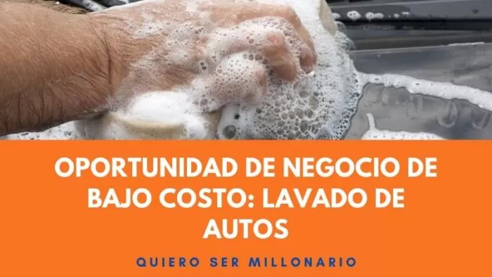 Oportunidad de Negocio de bajo costo: Lavado de autos 2 Oportunidad de Negocio de bajo costo: Lavado de autos 2