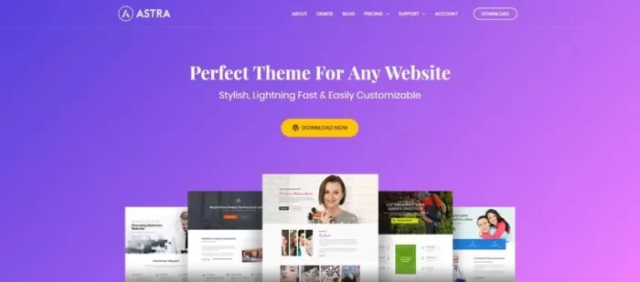 Astra ¿Porque Astra es un gran tema para construir tu tienda en Línea? 5
