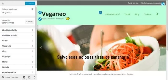 Generate Press ¿Porque Astra es un gran tema para construir tu tienda en Línea? 3