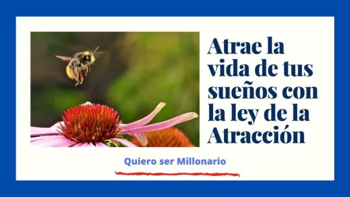 Atrae la Vida de tus Sueños con la Ley de Atracción 2