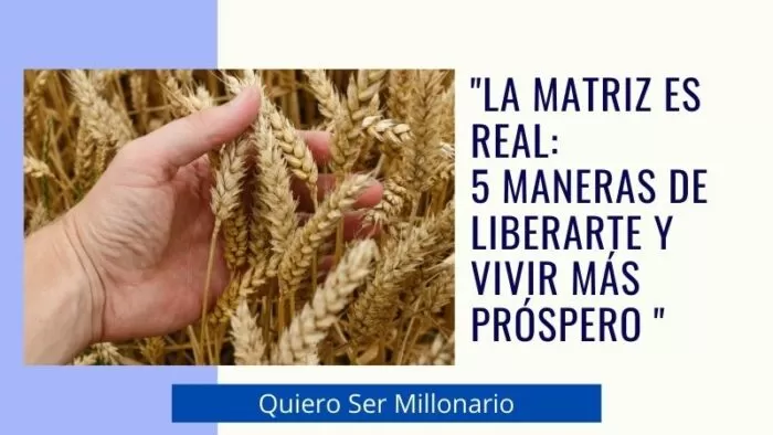 "La Matriz es real: 5 maneras de liberarte y vivir más próspero " 2