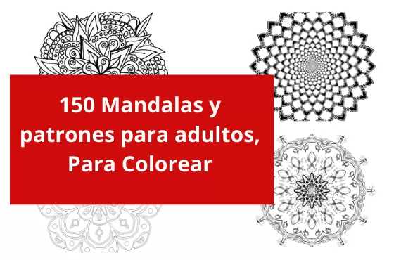Comienza tu negocio en línea con estas recomendaciones 7