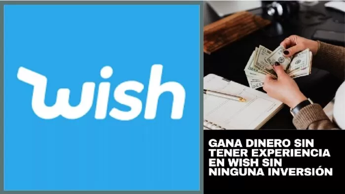 GANA DINERO sin tener experiencia en Wish y sin ninguna Inversión 2