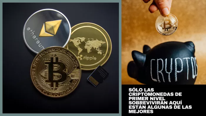 Sólo las criptomonedas de primer nivel sobrevivirán Aquí están algunas de las mejores 2 Sólo las criptomonedas de primer nivel sobrevivirán Aquí están algunas de las mejores 2