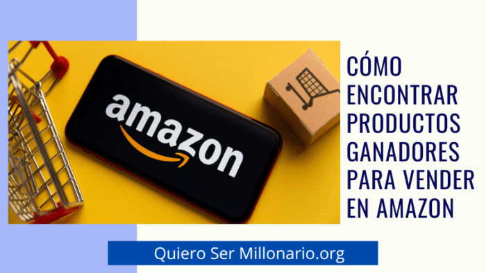 Cómo Encontrar Productos Ganadores para vender en Amazon 2
