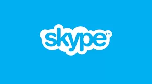 Skype Herramientas digitales esenciales para el trabajo en línea 12