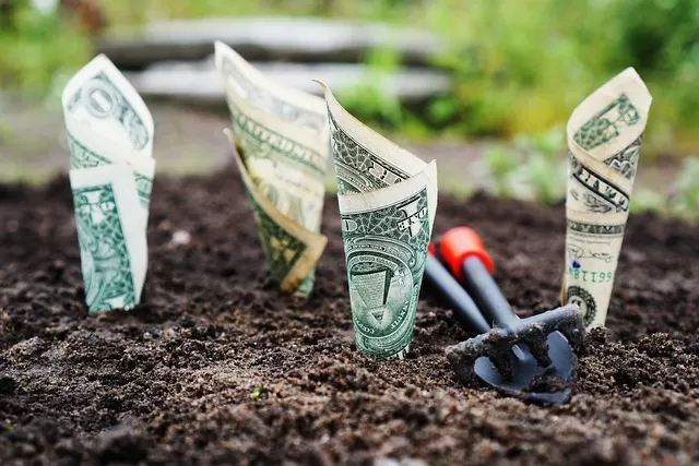 Cómo invertir con poco dinero: Oportunidades para hacer crecer tus ahorros 3